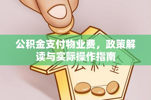 闵行公积金支付物业费，政策解读与实际操作指南