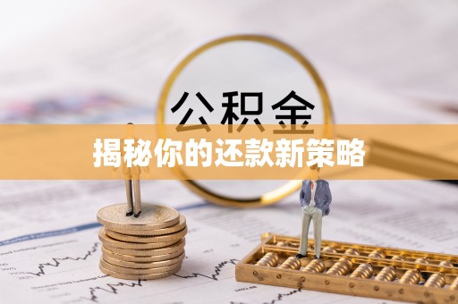 闵行揭秘你的还款新策略