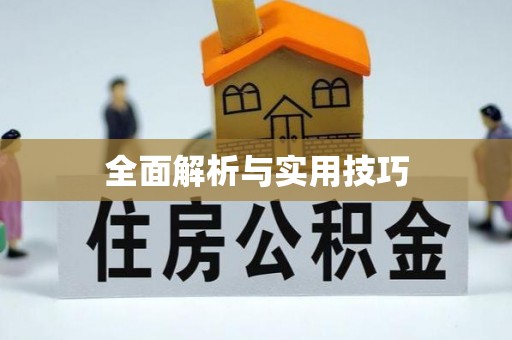 闵行全面解析与实用技巧