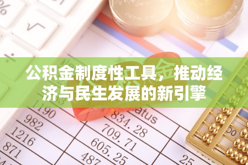 闵行公积金制度性工具，推动经济与民生发展的新引擎
