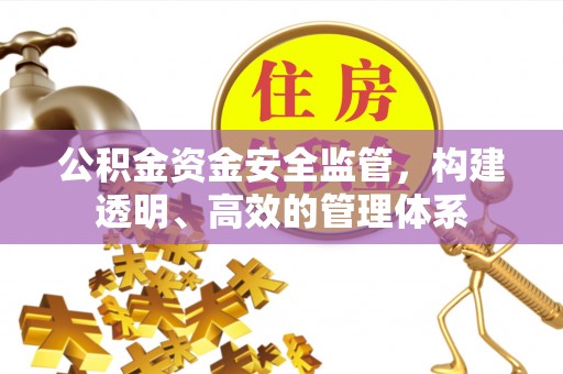 闵行公积金资金安全监管，构建透明、高效的管理体系