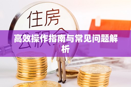 闵行高效操作指南与常见问题解析