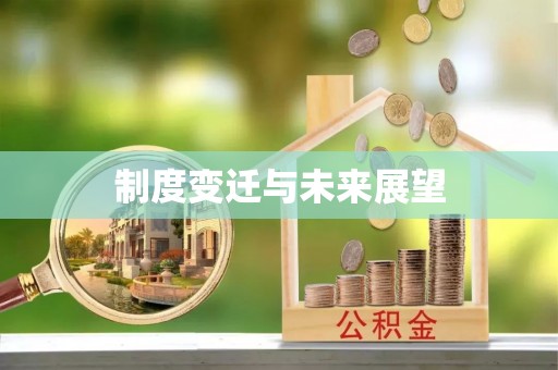 闵行制度变迁与未来展望