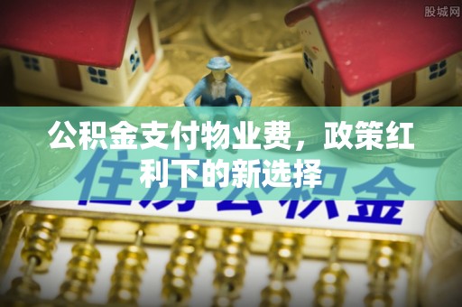 闵行公积金支付物业费，政策红利下的新选择