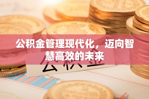 闵行公积金管理现代化，迈向智慧高效的未来