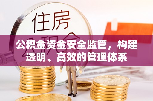 闵行公积金资金安全监管，构建透明、高效的管理体系