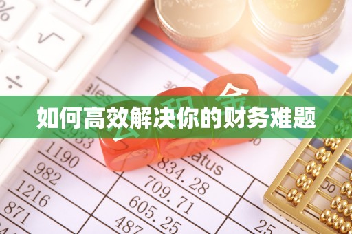 闵行如何高效解决你的财务难题