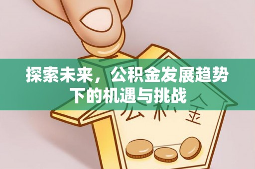 闵行探索未来，公积金发展趋势下的机遇与挑战