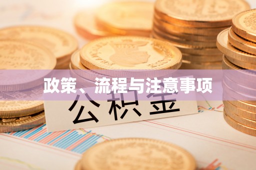 闵行政策、流程与注意事项