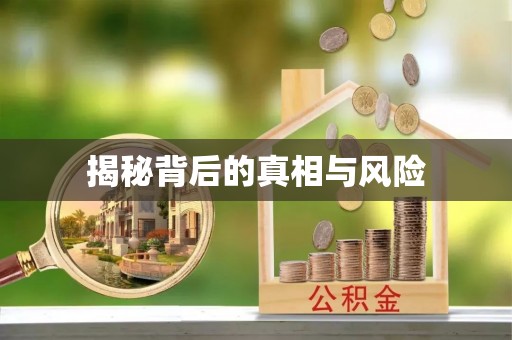 闵行揭秘背后的真相与风险