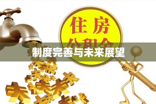 闵行制度完善与未来展望