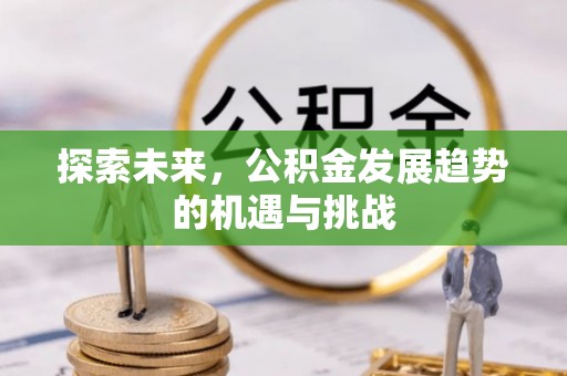 闵行探索未来，公积金发展趋势的机遇与挑战