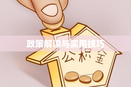 闵行政策解读与实用技巧