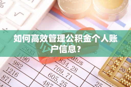 闵行如何高效管理公积金个人账户信息？