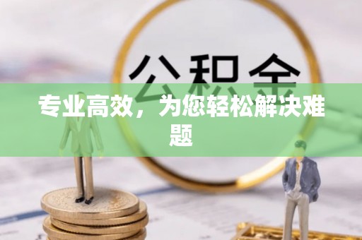 闵行专业高效，为您轻松解决难题