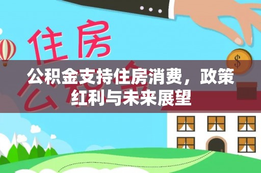 闵行公积金支持住房消费，政策红利与未来展望