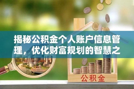 闵行揭秘公积金个人账户信息管理，优化财富规划的智慧之选
