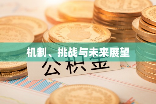 闵行机制、挑战与未来展望