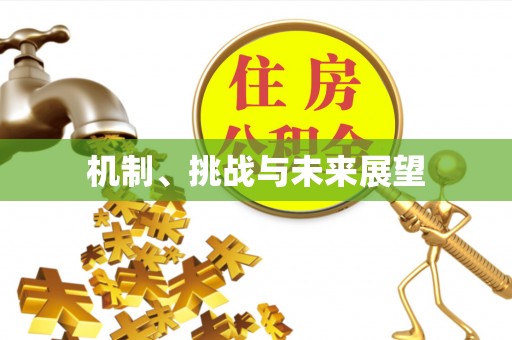 闵行机制、挑战与未来展望