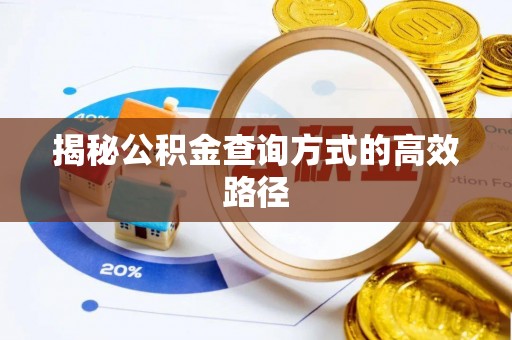 闵行揭秘公积金查询方式的高效路径