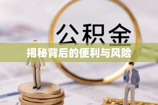 闵行揭秘背后的便利与风险